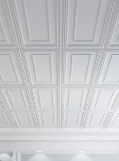 Deccart Panneaux de plafond et panneaux muraux Decoratif Rama Blanc 4m² / 8pièces