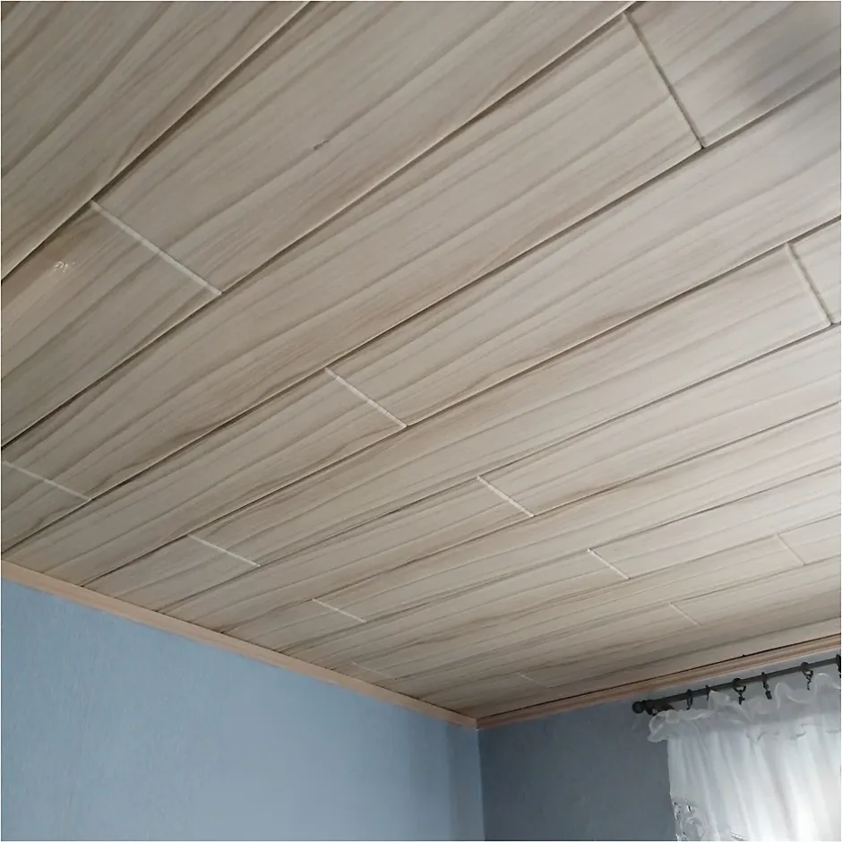 Deccart Panneaux de plafond et panneaux muraux Decoratif P12 2m² / 12pièces