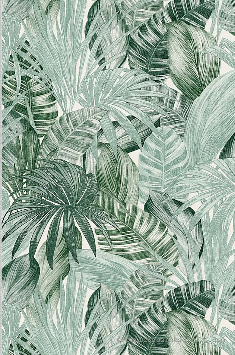 Papier peint expansé sur intissé Jungle L.10.05 x l.0.53 m. - Réf. SP15010-A.S. Creation Online