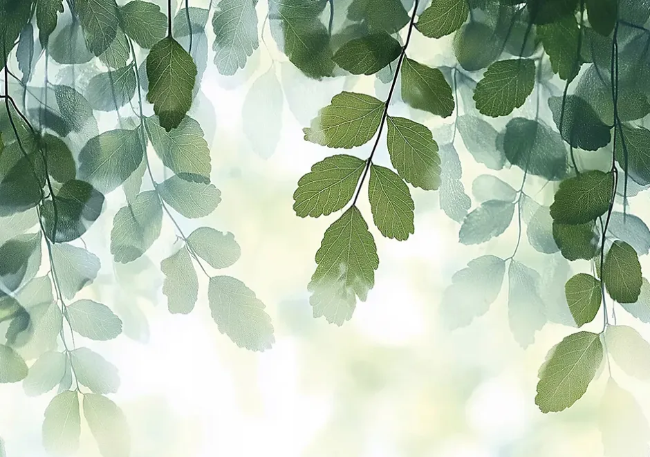 Wallarena Papier Peint Feuilles Vert Panoramique Intissé 350x250 cm - Colle Inclus - Moderne Papier Peint Intissé Chambre Salon