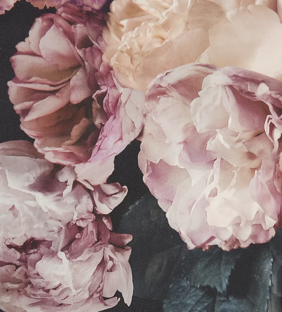 Papier peint floral vinyle sur intissé mauve, Drosera-GoodHome Hot