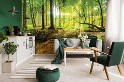 Wallarena Papier Peint Forêt Arbres Vert Nature Intissé Panoramique 350x250 cm - Colle Inclus - Chambre et Salon - Moderne Papier Peint