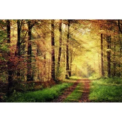 Scenolia Papier peint intissé AUTOMNAL forêt orangée 400 x 270 cm (LxH) - Tapisserie murale panoramique XXL, Made in France par