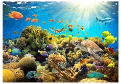 Papier peint intissé panoramique paysage underwater land 350x245 cm-Planete Discount Online