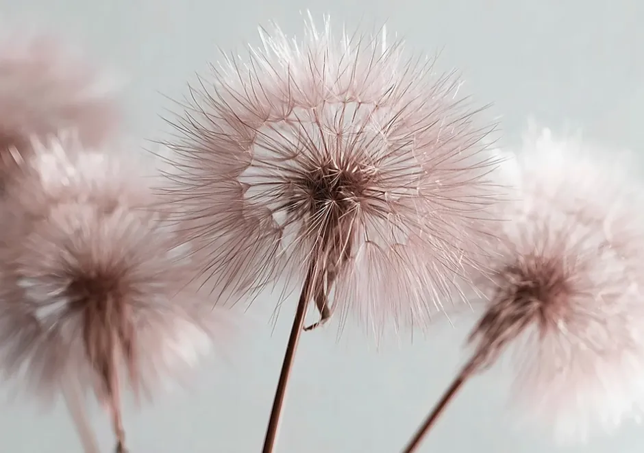 Papier Peint Intissé Panoramique Pour Chambre Cuisine Gonflables Boho 350x250 cm-Wallarena New