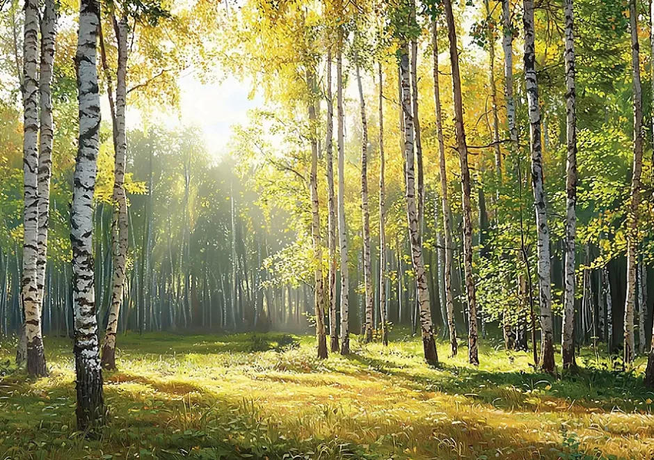 Papier Peint Intissé Panoramique Pour Chambre Cuisine 3D Forêt Vert 350x250-Wallarena Discount