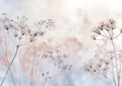 Papier Peint Panoramique Intissé Fleurs Pissenlits Beige - 400x280 cm - Papier Peint Chambre et salon-Wallarena Sale