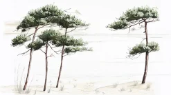 Acte Déco Papier peint panoramique Pins du bassin, Vert de gris 375 x 250cm