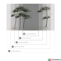 Acte Déco Papier peint panoramique Pins du bassin, Vert de gris 375 x 250cm