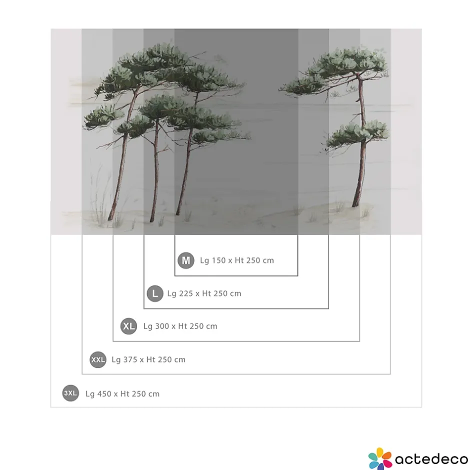 Acte Déco Papier peint panoramique Pins du bassin, Vert de gris 375 x 250cm