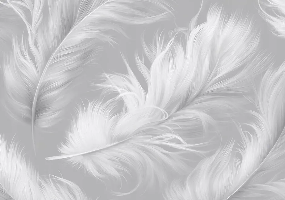 Wallarena Papier Peint Panoramique Intissé Plumes Abstrait Gris - 350x250 cm - Papier Peint Chambre et salon