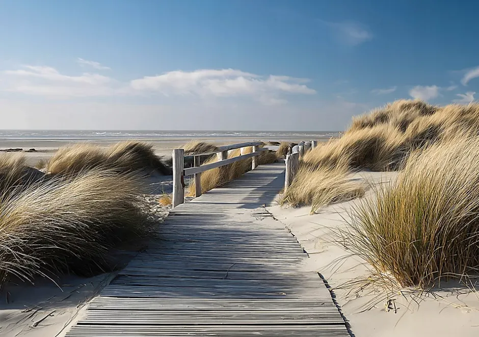 Papier Peint Panoramique Intissé Plage Mer Beige - 400x280 cm - Papier Peint Chambre et salon-Wallarena Online