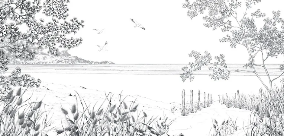 Acte Déco Papier peint panoramique Côtes Sauvages, Noir et blanc 525 x 250cm