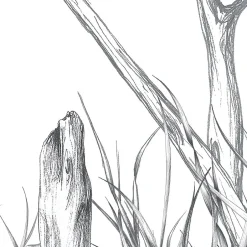 Acte Déco Papier peint panoramique Côtes Sauvages, Noir et blanc 525 x 250cm