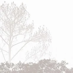 Acte Déco Papier peint panoramique Brumes matinales, Beige 300 x 250cm