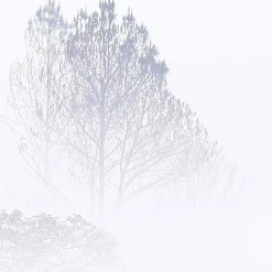 Acte Déco Papier peint panoramique Brumes matinales, Bleu 150 x 250cm