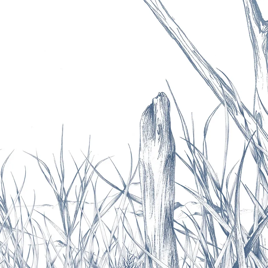 Papier peint panoramique Côtes Sauvages, Bleu 300 x 250cm-Acte Déco Discount