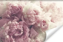 Papier Peint Photo Intissé FLEURS Pivoines Roses Pour La Chambre 450cm x 300cm-Muralo Clearance