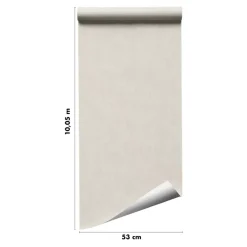 GoodHome Papier peint pré-encollé Easy Roll vinyle intissé uni grège l.53 x L.1005 cm, Coppins