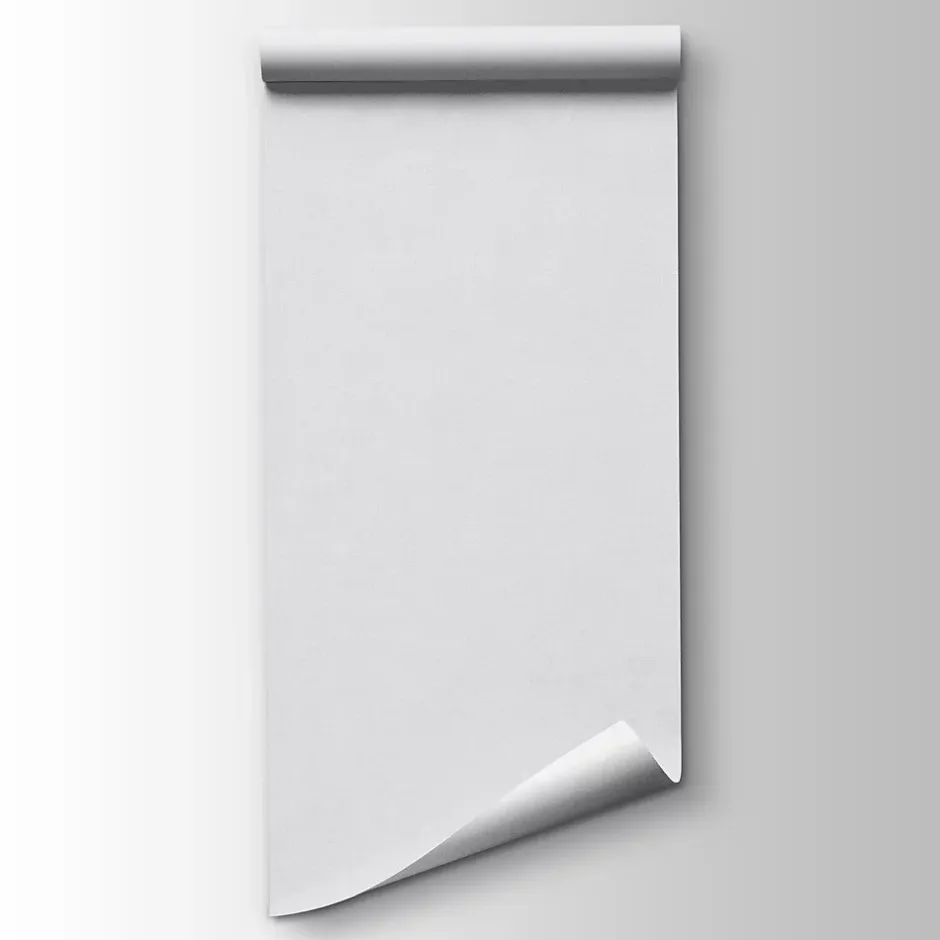 Ugepa Papier peint vinyle grainé sur intissé uni tweed gris L.1001 x l.53cm Ugèpa