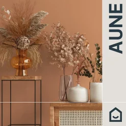 GoodHome Papier peint vinyle intissé uni orange terracotta L.53 x l.1005 cm Aune