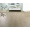 Parquet stratifié 12 mm CHENE AMANDE SOLID PLUS-Eiffel art construction Best