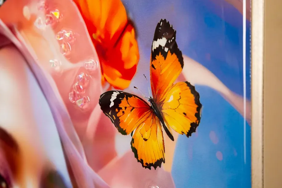 Mauro Ferretti Peinture sur toile laquée avec cadre 62x4x92 cm