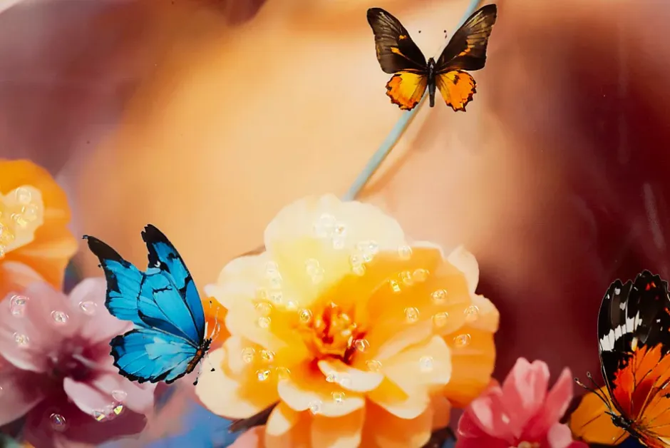 Mauro Ferretti Peinture sur toile laquée avec cadre 62x4x92 cm