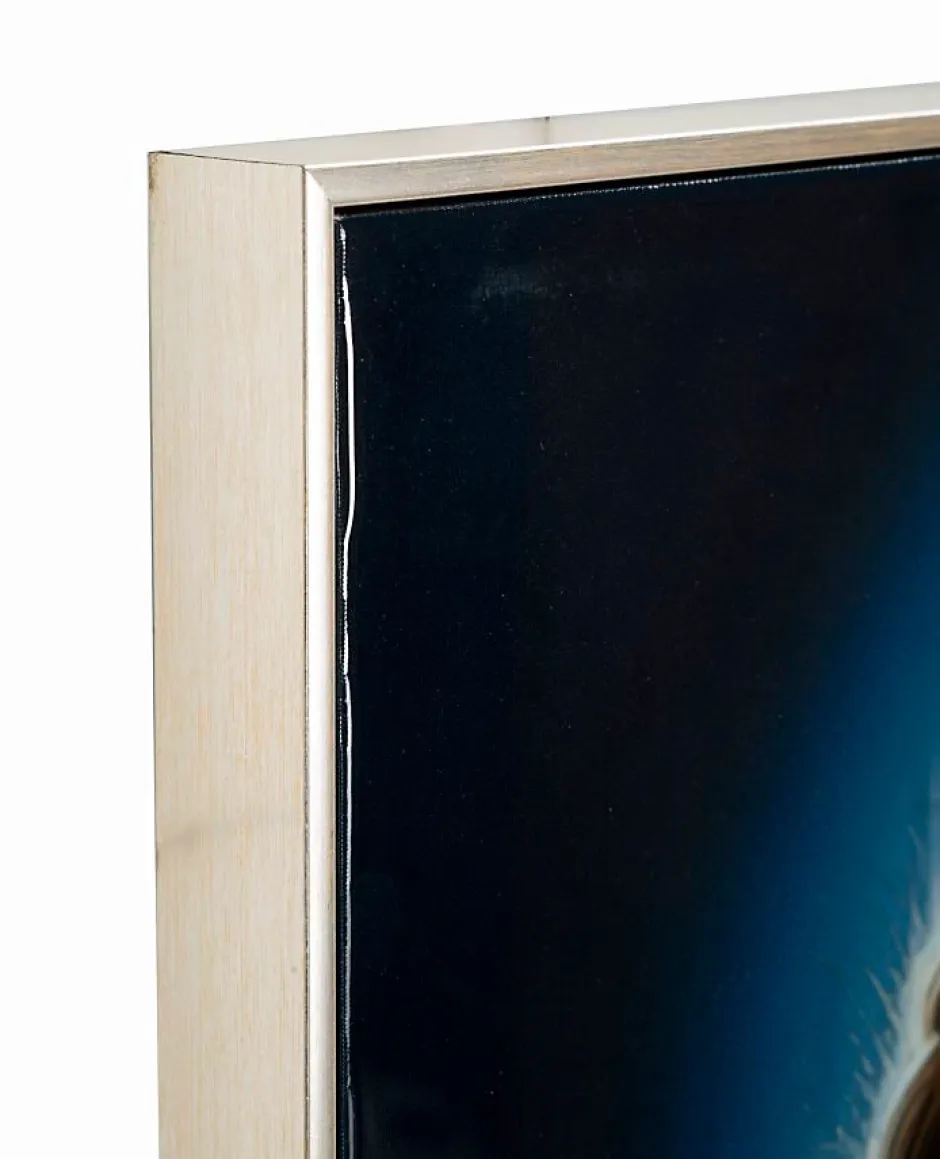 Mauro Ferretti Peinture sur toile laquée avec cadre 72x4x102 cm