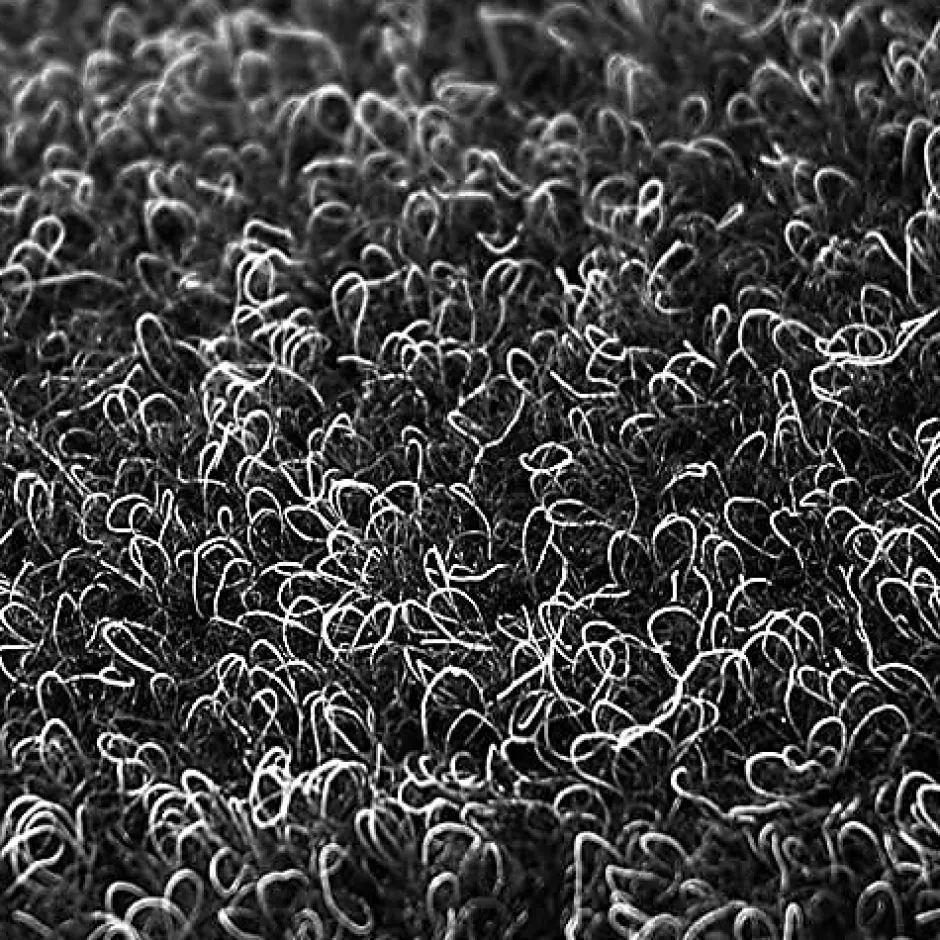 Floordirekt Pelouse synthétique Farbwunder Pro Noir 133 x 600 cm