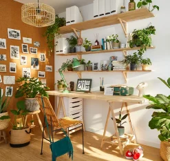 Planche de sapin/douglas 200x50/60cm ép. 40 mm 1 bord droit/ 1 bord brut- Clearance