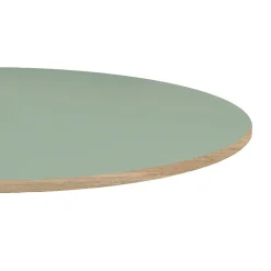 Plateau rond 120cm couleur vert celadon chants imitation bois --Restootab