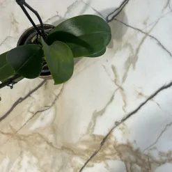 Restootab Plateau rond 120cm decor marbre calcuta -