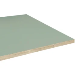 Restootab Plateau 160x80 couleur vert celadon chants imitation bois -