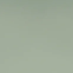 Plateau 140x70 couleur vert celadon --Restootab New