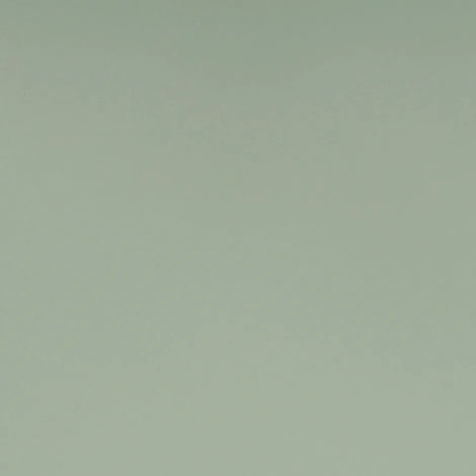 Plateau 140x70 couleur vert celadon --Restootab New