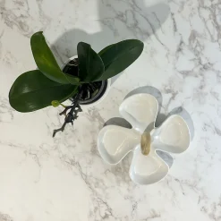 Plateau 160x80 decor marbre olympo chants laiton --Restootab Best