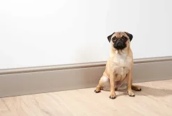 Plinthe NMC WALLSTYL FL17 Profil de décoration-Noel & Marquet Discount