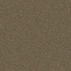 Reivilo Plinthes assorties pour bloc-porte Premium aspect cuir lichen