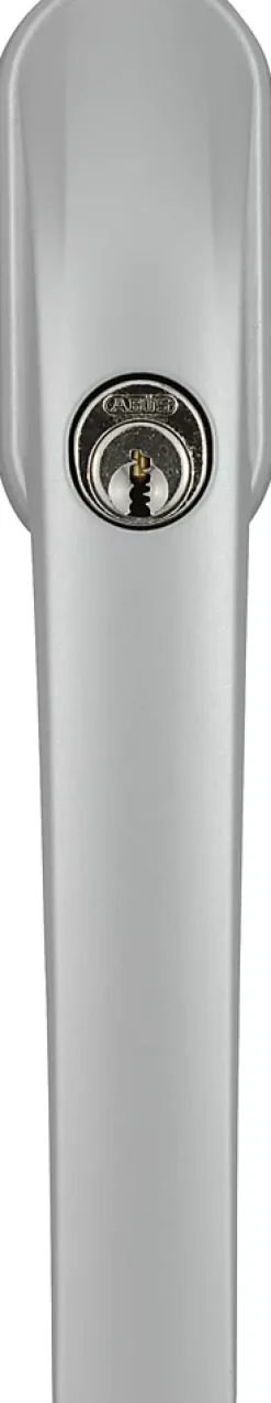 Abus Poignée de fenêtre avec clé grise