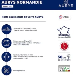 Aurys Porte coulissante en verre seule (rail non inclus) - MINIMO - H.204 x L.93 cm - Fabrication Française NORMANDIE