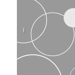 Porte coulissante vitrée Circulus H.204 x l.83 cm