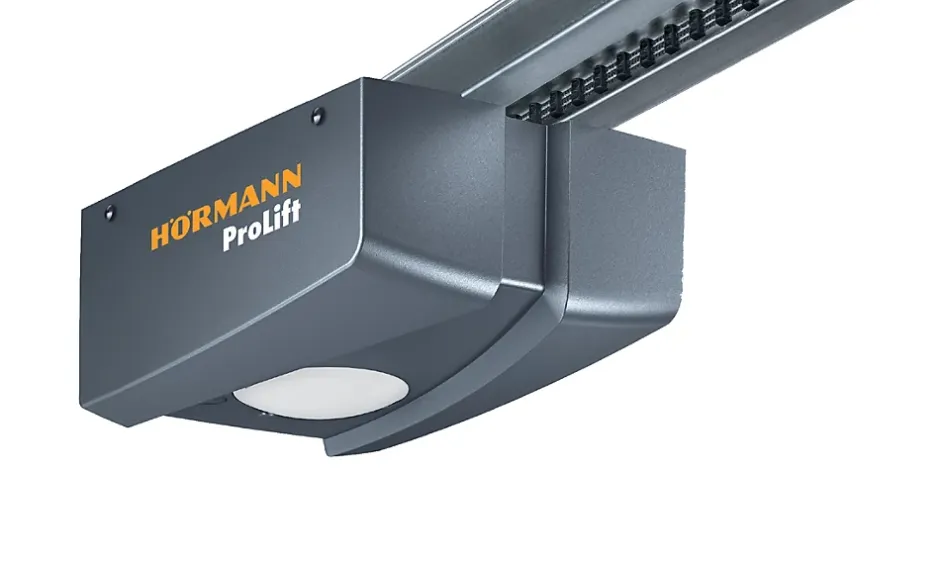 Hormann Porte de garage sectionnelle acier EcoStar WoodGrain gris anthracite RAL 7016 - l.237,5 x h.212,5 cm - motorisée