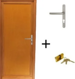 Gd Menuiseries Porte De Service Bois Pleine Armagos, H,200xl,80 P,gauche Côte Tableau, Poignée, Barillet