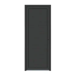 Porte de service pvc pleine gris anthracite ext. et blanc int. 80 x h.205 cm poussant gauche- Discount