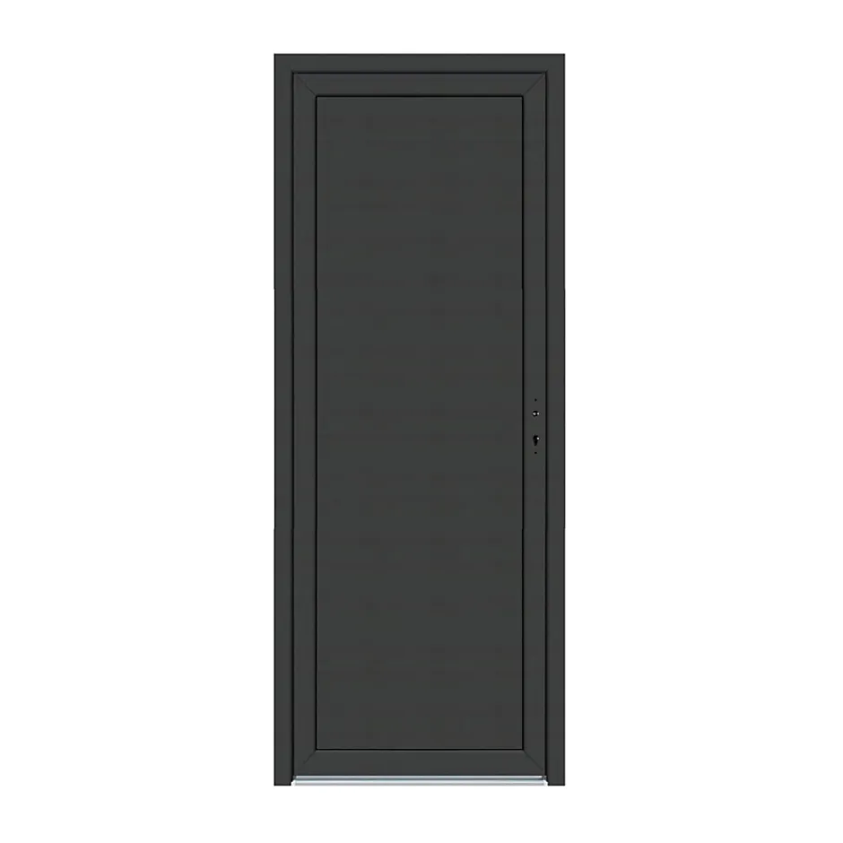 Porte de service pvc pleine gris anthracite ext. et blanc int. 80 x h.205 cm poussant gauche- Discount