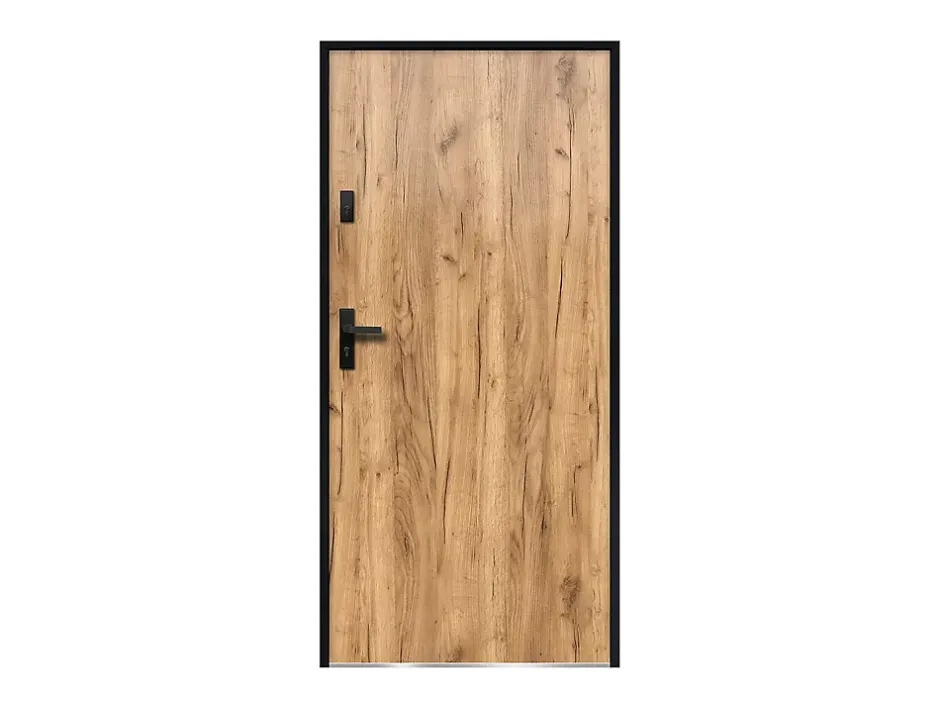 Porte d'entrée en acier pleine H207 x L100 cm effet chêne - épaisseur 55 mm - poussant droit - AGUEDA-Vente-unique Hot