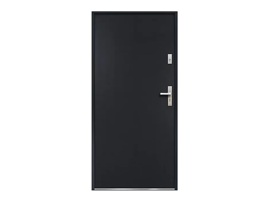 Porte d'entrée en acier pleine H207 x L100 cm anthracite - épaisseur 55 mm - poussant gauche - AGUEDA-Vente-unique Hot