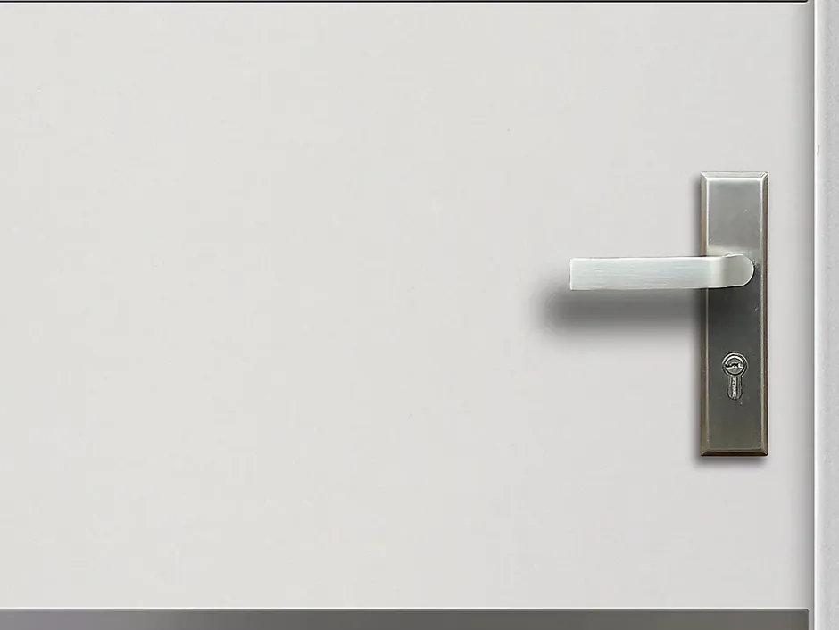 Vente-unique Porte d'entrée en acier pleine et inox H207 x L100 cm blanc - épaisseur 55 mm - poussant gauche - NAXARA