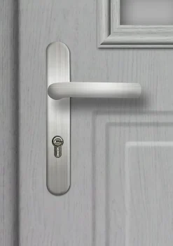 Fortia Porte d'entrée acier Scilla 96 x h.218 cm poussant gauche